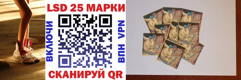 даркнет телеграм  Шарья  Наркотические марки 1500мкг 