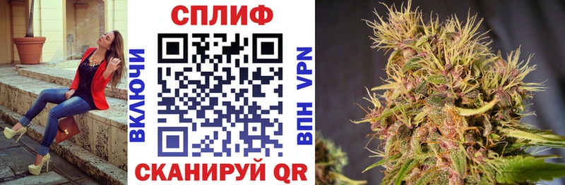 Шишки марихуана марихуана  Шарья 